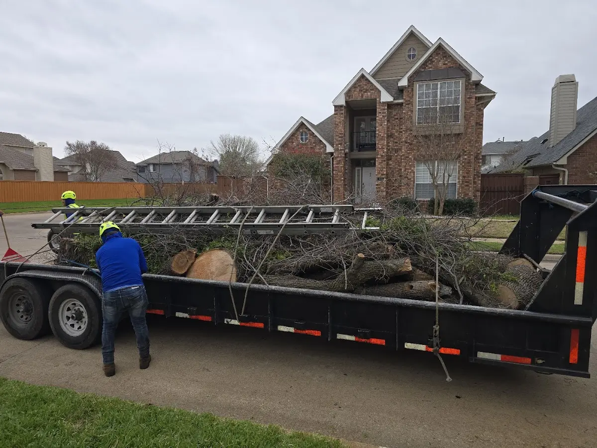 Expert Tree Fertilization with proper safety equipment in Kandiyohi